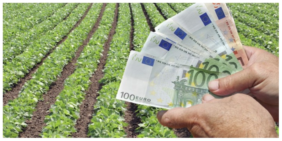 Ευρωπαϊκό Ελεγκτικό Συνέδριο: Ανεπαρκή τα μέτρα ενίσχυσης του αγροτικού εισοδήματος στο πλαίσιο της ΚΑΠ