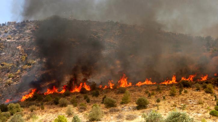 ΛΕΜΕΣΟΣ: Εκτός ελέγχου η πυρκαγιά στο Μοναγρούλι- Ισχυρές δυνάμεις πυρόσβεσης στην περιοχή
