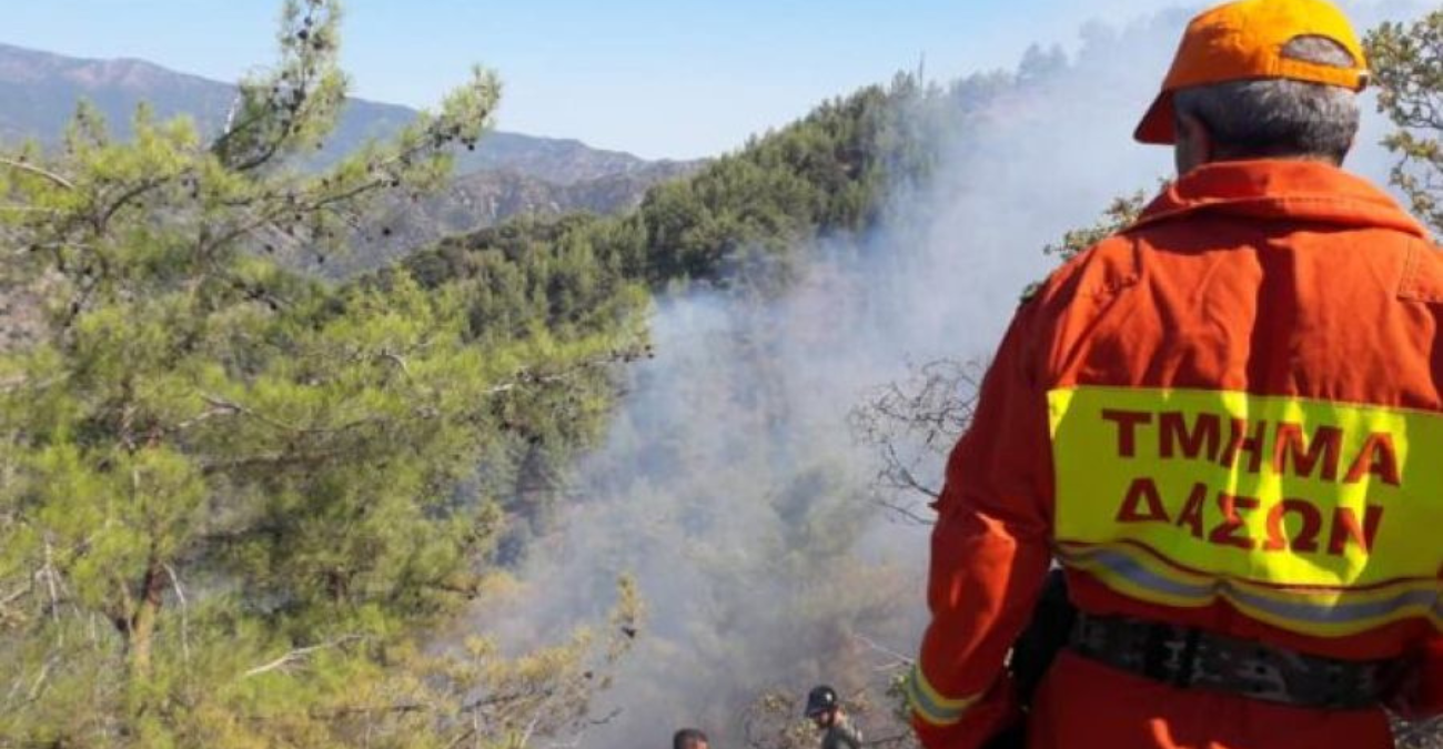 Πυρκαγιά στην Κακοπετρία: Πολίτες έκαναν χρήση σμυρίλιου χωρίς άδεια – Προχωρεί σε καταγγελία το Τμήμα Δασών