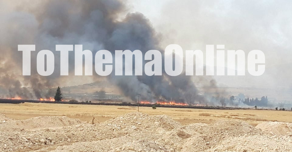 ΦΩΤΙΑ-ΚΟΚΚΙΝΟΤΡΙΜΙΘΙΑ:  Απειλήθηκαν κτηνοτροφικά υποσταστικά- Κάηκε ένα τετραγωνικό χιλιόμετρο
