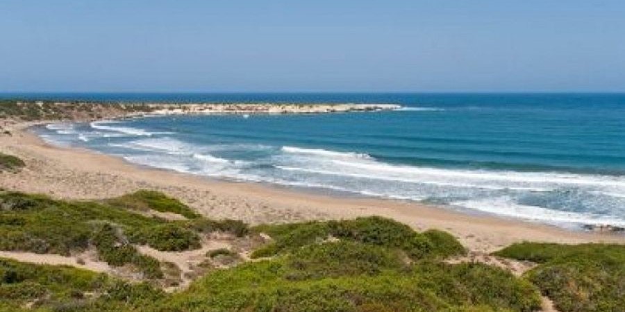 Ανθρώπινο μέλος σε παραλία: Ολοκληρώθηκαν οι έρευνες στη θάλασσα - Συνεχίζονται στη ξηρά