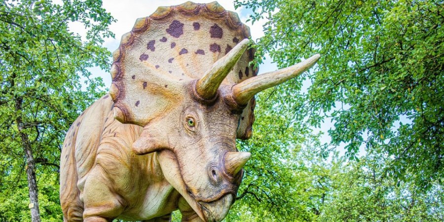Δημοπρασία για... κρανίο δεινοσαύρου 68 εκατομμυρίων ετών – Πού θα κυμανθεί η τιμή για το «Baby Jane» - Φωτογραφία