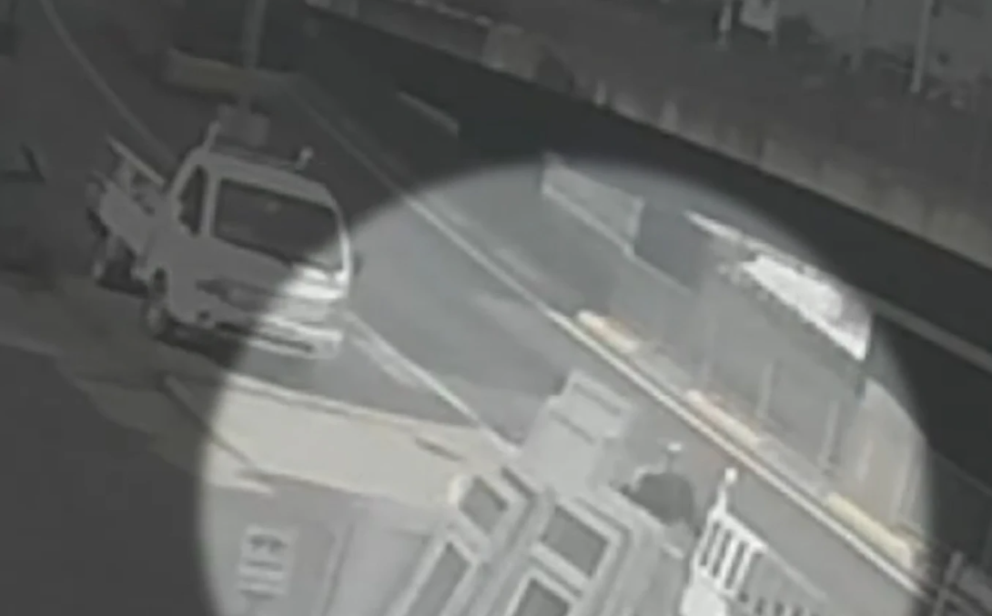 Συγκλονιστικό video: Γυναίκα προσπάθησε να γλιτώσει από αδέσποτο σκύλο και χτυπήθηκε από λεωφορείο - Δίνει μάχη για τη ζωή