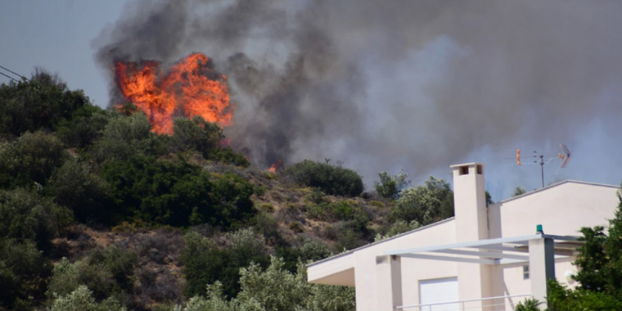 Φωτιά στην Ελλάδα: Καίει κοντά σε κατοικημένες περιοχές - Εκκενώθηκε ξενοδοχείο - Δείτε φωτογραφίες