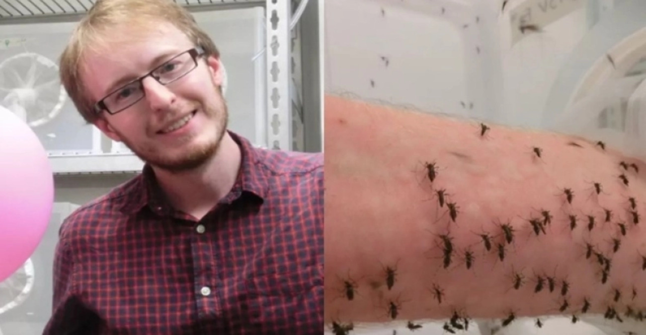 Ο άνθρωπος που αφήνει δεκάδες κουνούπια να τον τσιμπήσουν: Ο λόγος που το κάνει - Δείτε βίντεο