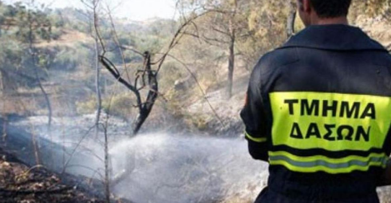 Τμ. Δασών: Απαγορεύεται η κατασκήνωση εντός κρατικών δασών χωρίς άδεια