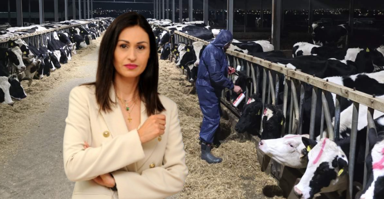 Παναγιώτου για αφθώδη πυρετό: «Όποιος δεν κάνει τη δουλειά του πρέπει να πάει σπίτι του» - Βίντεο