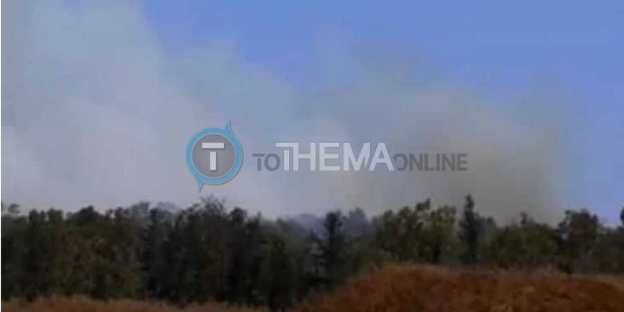 Υπό έλεγχο η πυρκαγιά στην περιοχή Φασούρι - Δείτε φωτογραφίες από το σημείο
