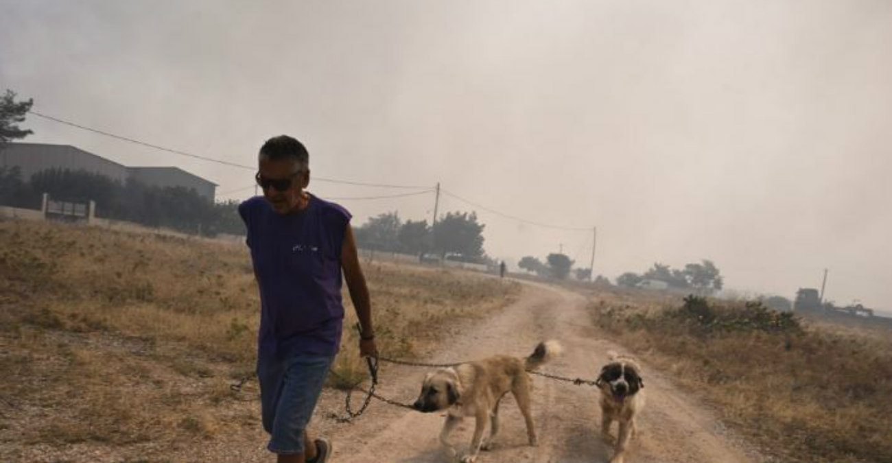 Φωτιά στη Ρόδο: Ανατριχιαστικές οι περιγραφές – «Γύρω ήταν όλα καμένα και είχε κρανία από ζώα»
