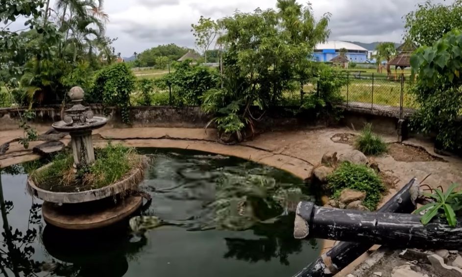 Viral βίντεο: «Συνέλαβαν» πτηνό επειδή έκανε «bullying» σε άλλα ζώα – Η αντίδραση του