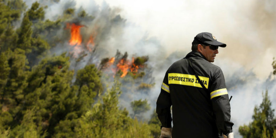 Εκτός ελέγχου η φωτιά στο δάσος της Πέγειας – Πλησίον κατασκήνωσης -ΦΩΤΟΓΡΑΦΙΕΣ