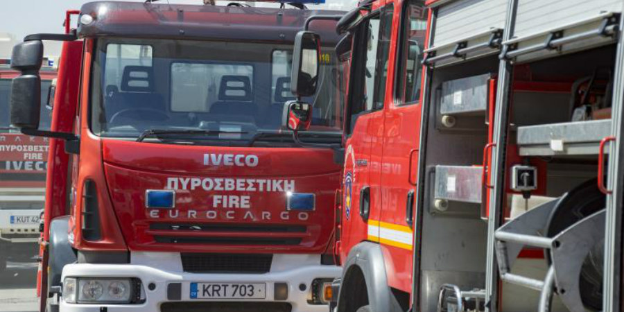 Συναγερμός στην Πυροσβεστική: Πυρκαγιά σε εξέλιξη μεταξύ Λάνιας και Λιμνάτη - Δείτε βίντεο