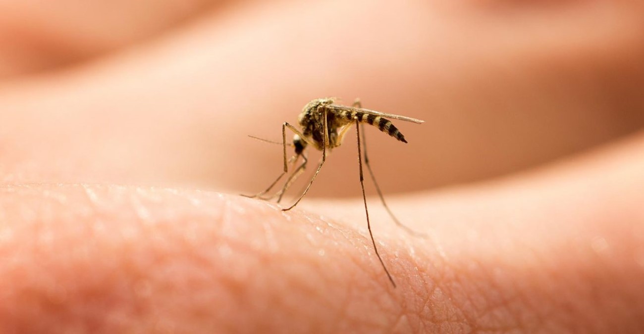 Συνεχίζονται στη Λάρνακα οι ψεκασμοί για καταπολέμηση κουνουπιών