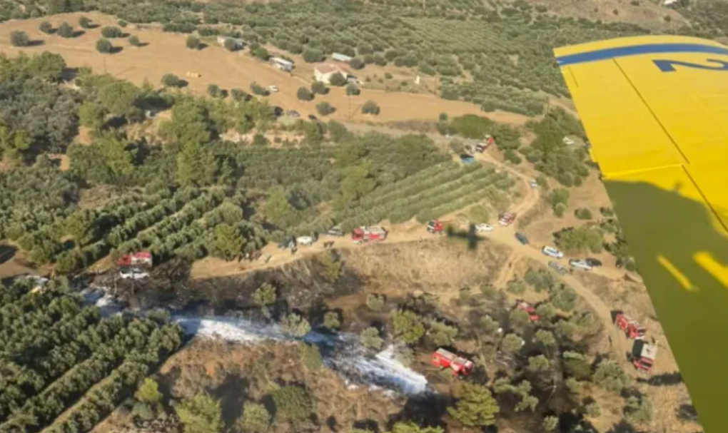 VIDEO: Από που ξεκίνησε η πυρκαγιά στη Λάρνακα - Υπό έλεγχο η κατάσταση