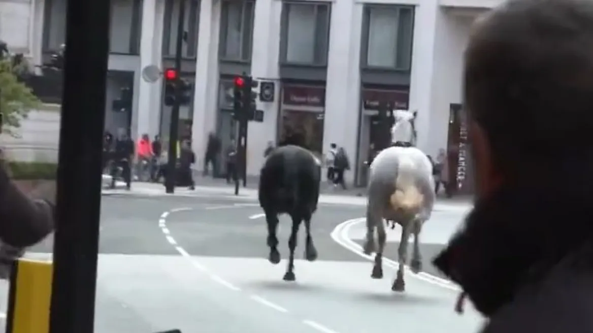 Αναστάτωση στο Λονδίνο - Άλογα κάλπαζαν ελεύθερα στο κέντρο της πόλης - Δείτε βίντεο