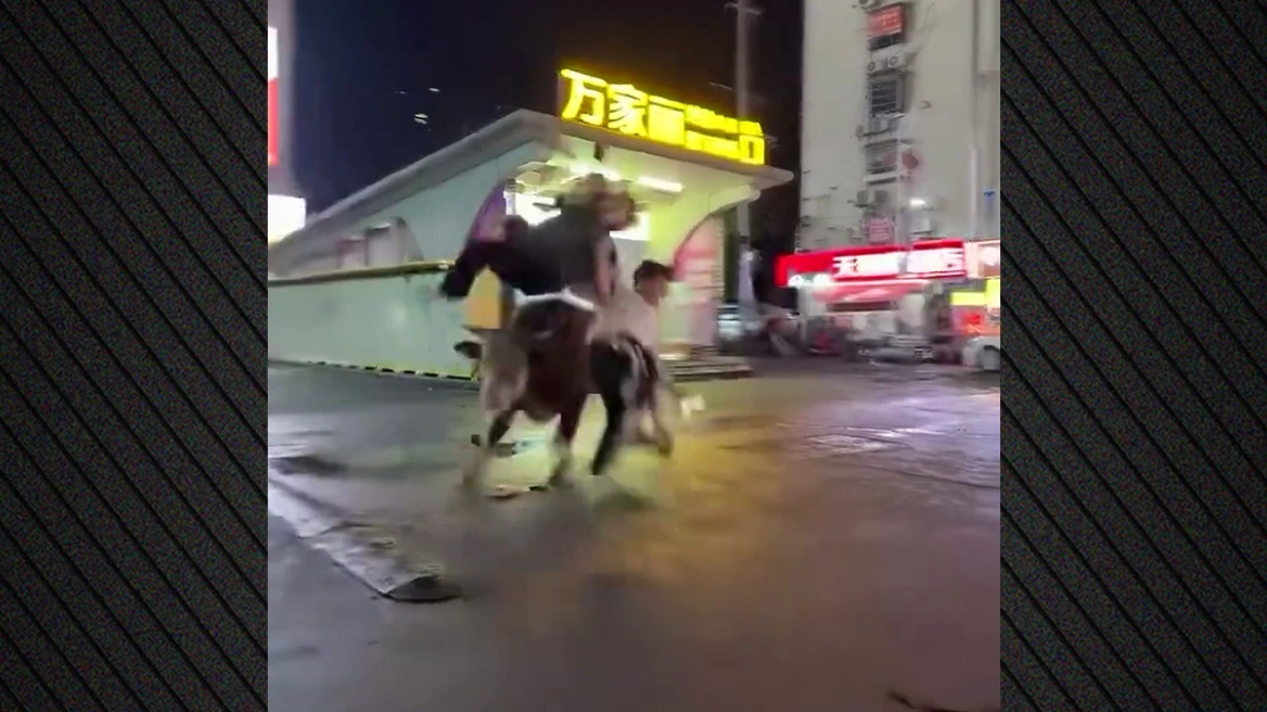 Μαινόμενος ταύρος σκόρπισε τον πανικό σε αγορά της Κίνας - Τραυματίστηκαν τρεις άνθρωποι