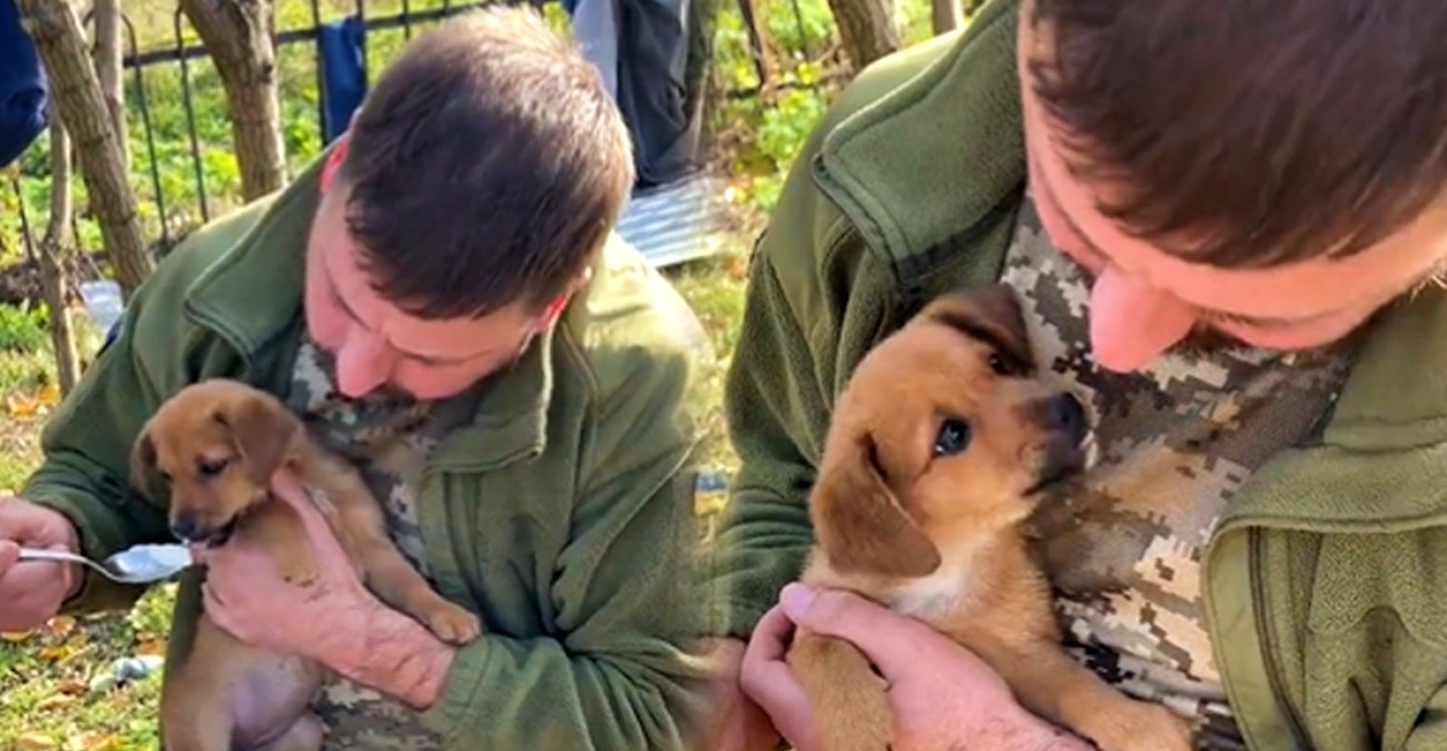 Συγκινητικό: Ουκρανός στρατιώτης μοιράζεται το πρωινό του με ένα σκυλάκι - Δείτε βίντεο