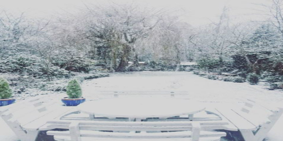 Αυτή είναι η θέα του χιονισμένου κήπου του σπιτιού του Κύπριου επώνυμου – ΦΩΤΟΓΡΑΦΙΑ 