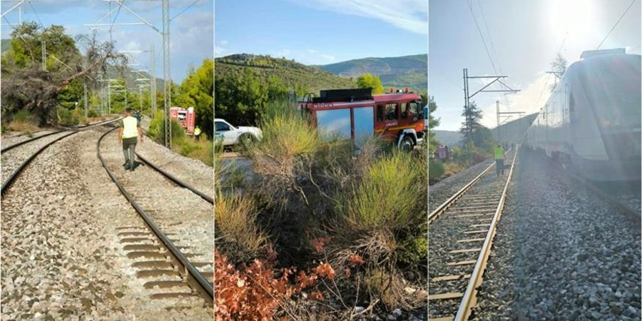 Παρολίγον σύγκρουση τρένου στην Ελλάδα με δέντρα - Γιατί ξέσπασε φωτιά - Ερωτηματικά για την κατάσταση του σιδηρόδρομου