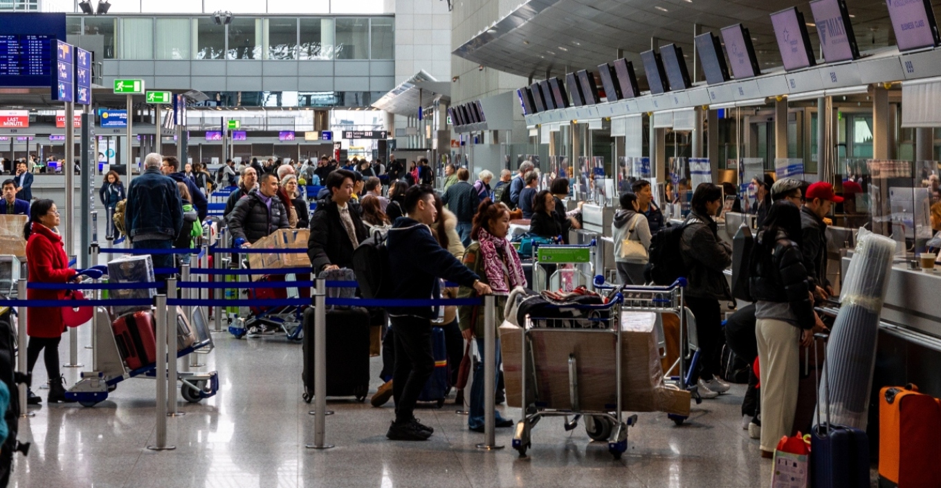 Ανακάλυψη σοκ σε αεροδρόμιο της Γερμανίας: Κατασχέθηκαν 1.500 ταραντούλες κρυμμένες σε κουτιά τούρτας