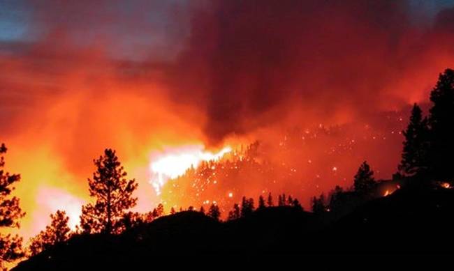 ΚΥΠΡΟΣ: Kόκκινος συναγερμός για δασικές πυρκαγιές- «Θερμότατη έκκληση…»