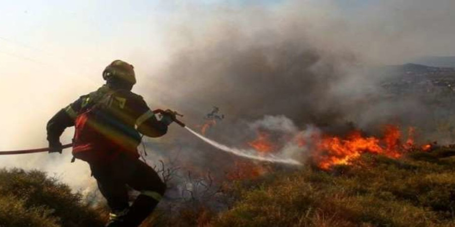 ΛΕΥΚΩΣΙΑ: Έθεσε υπό έλεγχο πυρκαγιά το Τμ. Δασών