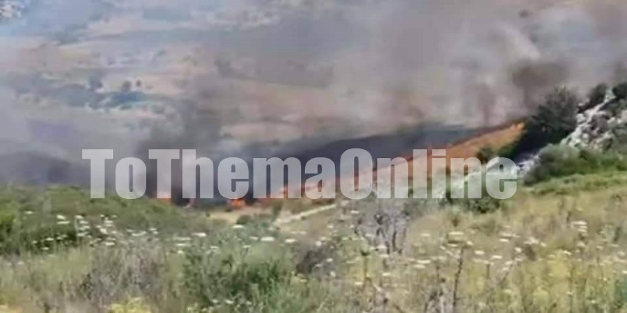 ΠΥΡΚΑΓΙΑ-ΠΑΦΟΣ: Υπό μερικό έλεγχο η φωτιά στη Σαλαμιού - ΦΩΤΟΓΡΑΦΙΕΣ