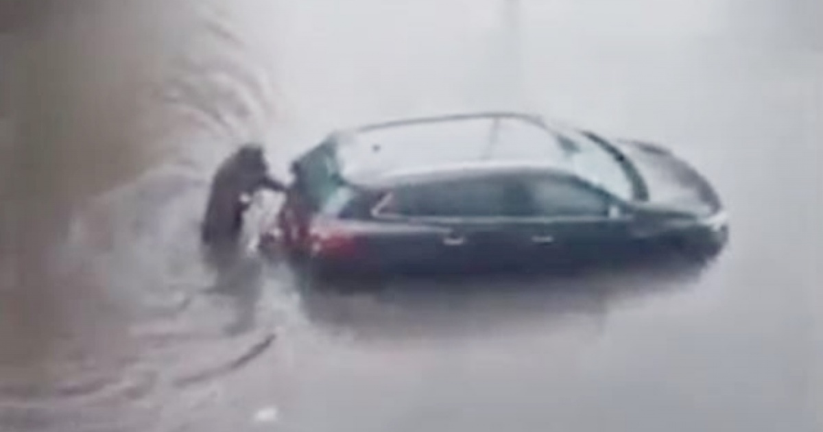 Σούπερ σκύλος σπρώχνει αυτοκίνητο που κόλλησε στις πλημμύρες -ΒΙΝΤΕΟ
