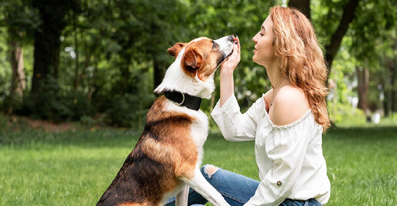Έτσι θα έρθετε πιο κοντά με τον σκύλο σας - Επτά χρήσιμες συμβουλές