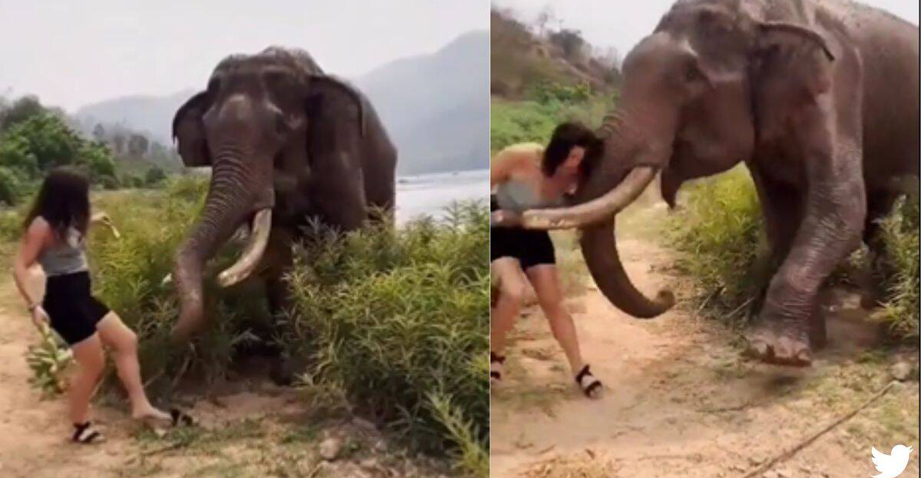 Βίντεο που «κόβει» την ανάσα: Ελέφαντας στην Ινδία πέταξε στον αέρα γυναίκα που τον τάιζε μπανάνες