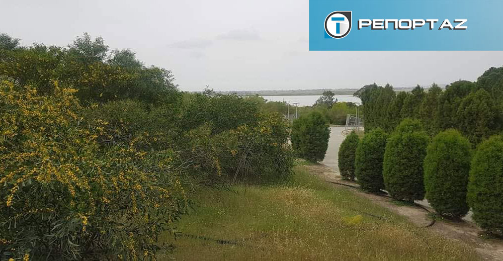 Αποκλειστικό: Επιστολή Επιτρόπου Περιβάλλοντος για τα έργα στο παττίχειο πάρκο-Βλέπει παρατυπίες και αλλοιώσεις 