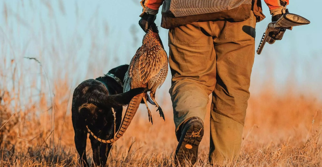 Κυνηγούσε σε απαγορευμένη περιοχή και τον «τσάκωσε» η Θήρα - Βαρύ πρόστιμο σε κυνηγό
