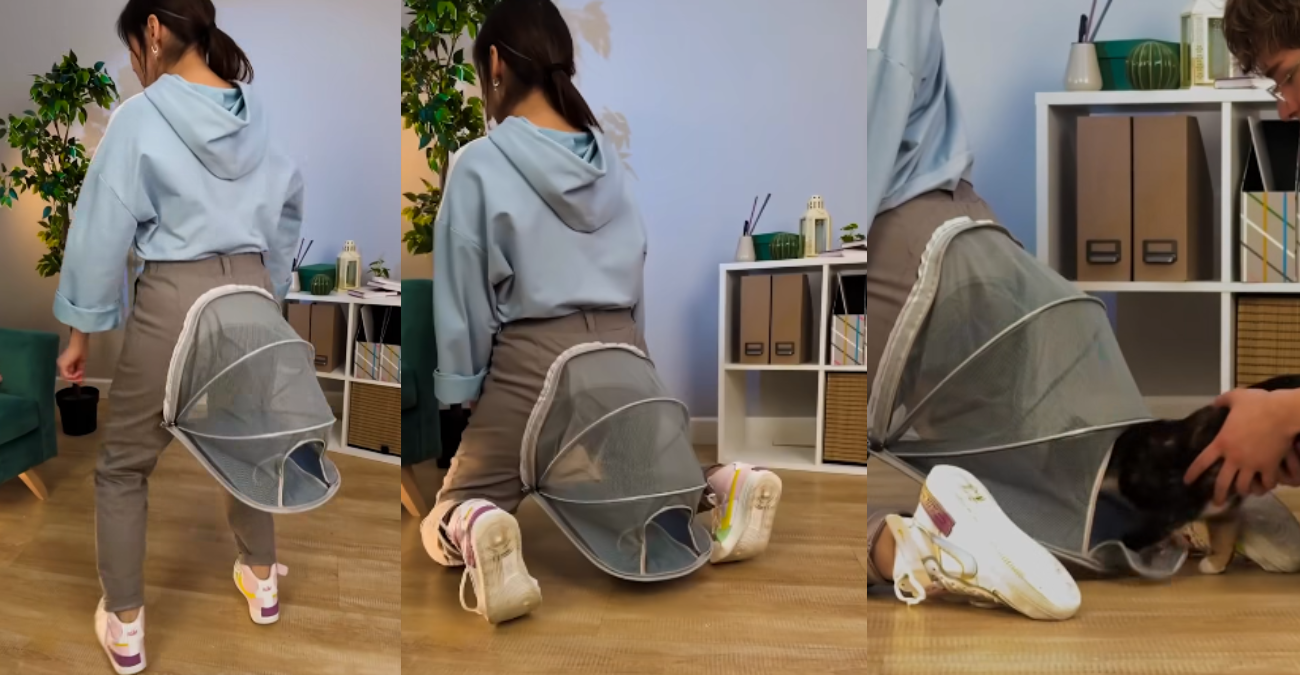 Όταν το παντελόνι σου γίνεται… καταφύγιο για γάτες - Η viral πατέντα για όσους έχουν κατοικίδιο - Θα το τολμούσαν οι Κύπριοι;