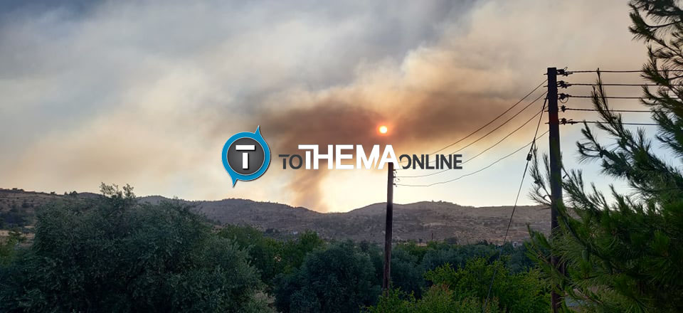 Πυρκαγιά στην Αγία Μαρίνα: «Θέμα χρόνου για να είναι υπό πλήρη έλεγχο» δηλώνει στο THEMAONLINE ο Δ/ντης Τμ. Δασών