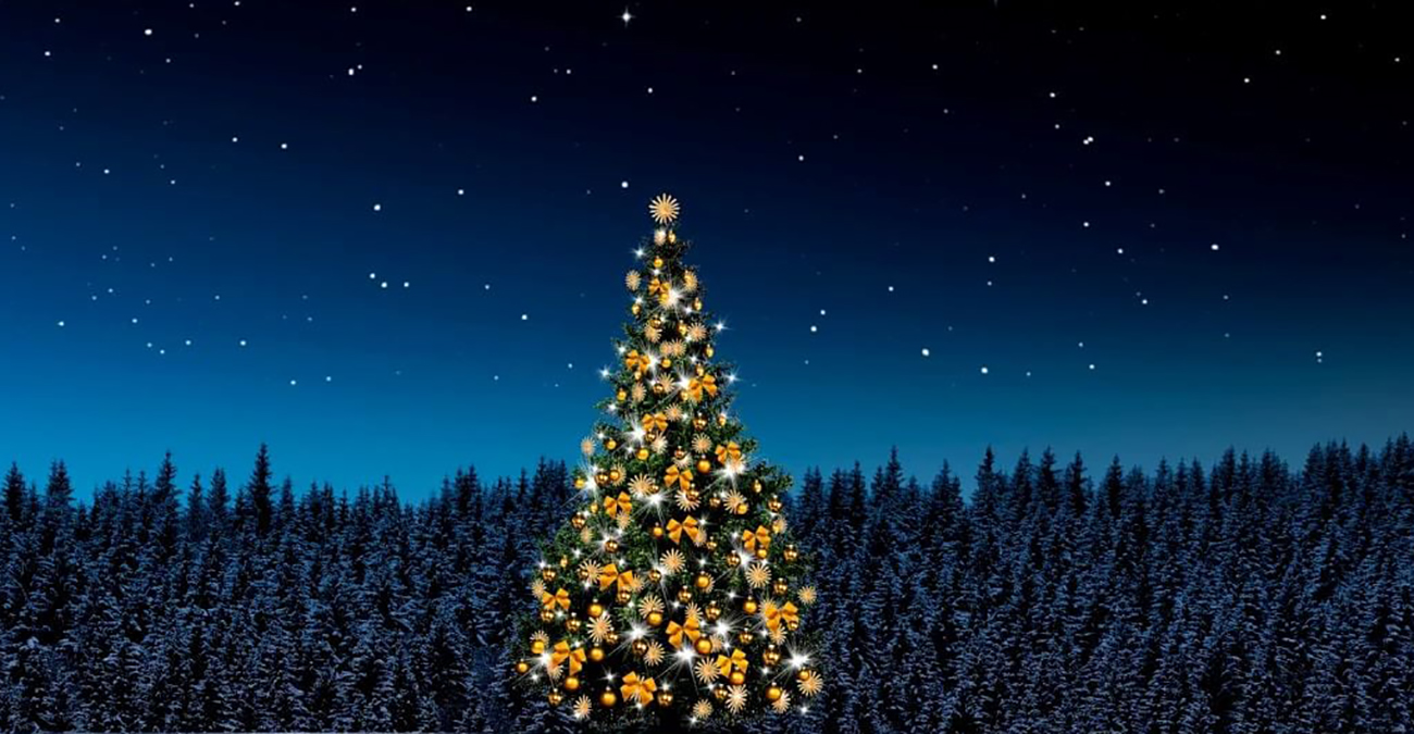 Κάηκε το χριστουγεννιάτικο δέντρο του Δήμου Πάφου - Έρευνες με το πρώτο φως της ημέρας 