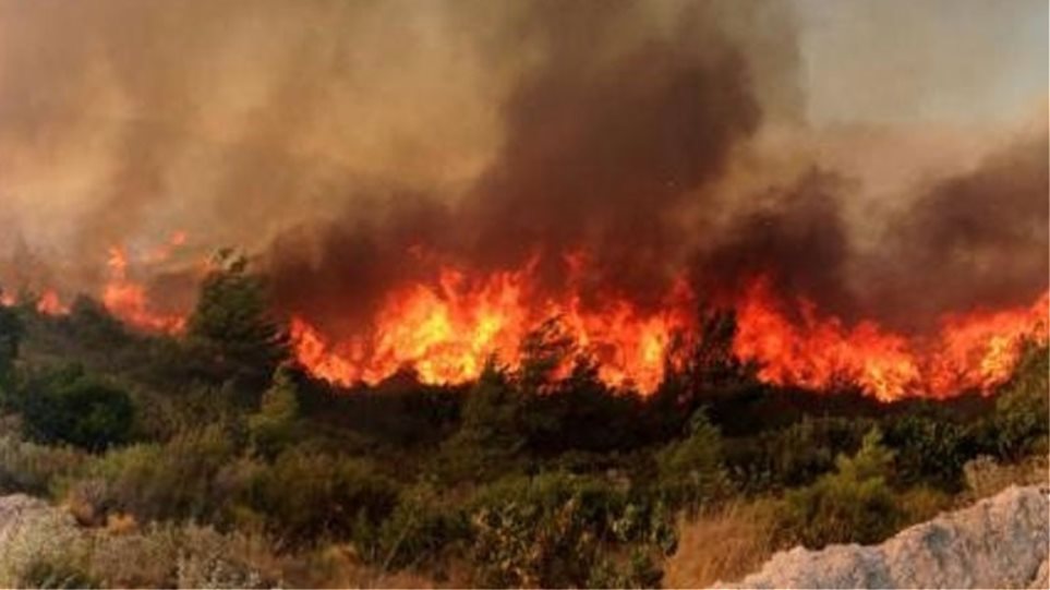ΠΑΦΟΣ: Πυρκαγιά έθεσε σε συναγερμό την Πυροσβεστική – 7 οχήματα και 2 ελικόπτερα στη μάχη κατάσβεσης