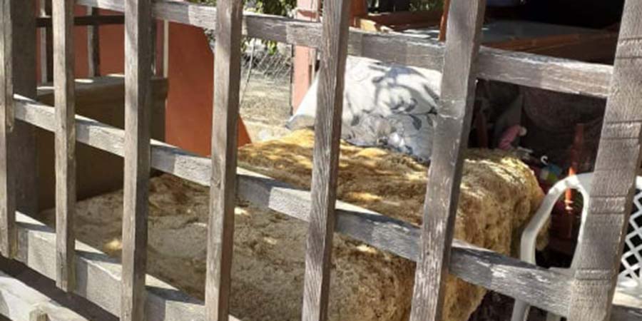 ΛΕΜΕΣΟΣ: Διαψεύδουν οι Αρχές ότι ο 76χρονος διαμένει στο «ξύλινο κιόσκι» - «Προσπαθούν να το κουκουλώσουν» απαντά το Κίνημα ΕνΕργώ