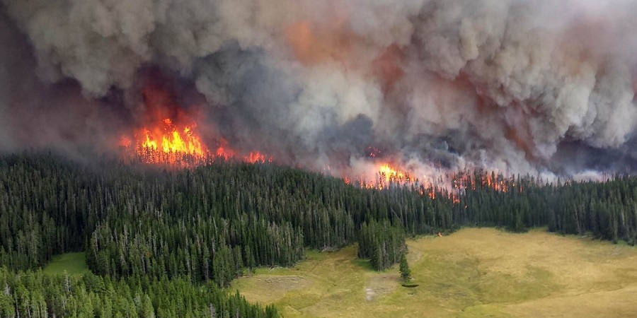 ΚΥΠΡΟΣ: 'Κόκκινος Συναγερμός' για κίνδυνο πρόκλησης δασικών πυρκαγιών - Τι να μην κάνετε