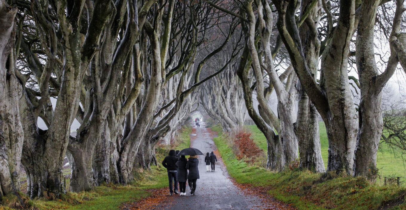 Η κακοκαιρία κατέστρεψε τα διάσημα δένδρα της σειράς «Game of Thrones» στη Βόρεια Ιρλανδία