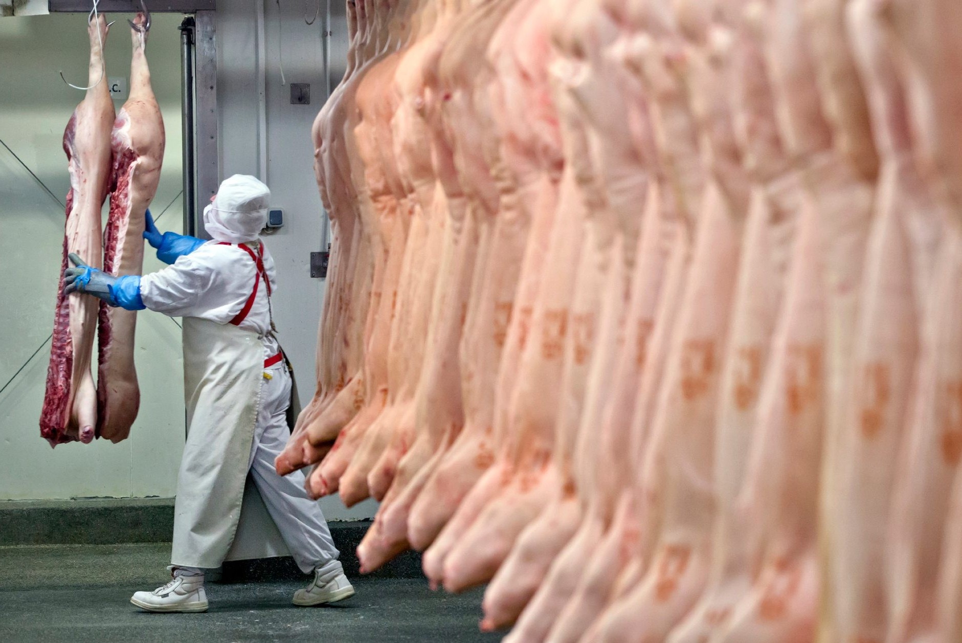 ΛΕΥΚΩΣΙΑ: Θα τρώγαμε 5,235 κιλά ακατάλληλου κρέατος – Τους «τσάκωσαν» στο πάρα πέντε