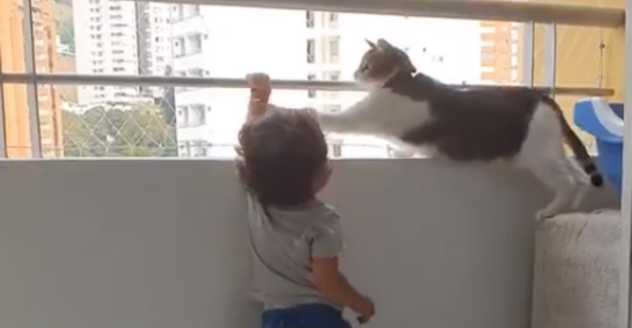 Γάτα προστατεύει μωράκι που προσπαθεί να σκαρφαλώσει στα κάγκελα του μπαλκονιού - Το viral video 