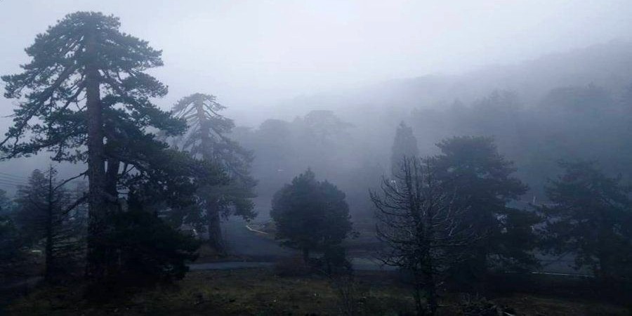Καιρός: Προσοχή στον δρόμο από την πρωινή ομίχλη - Κάτω από 35 βαθμούς ο υδράργυρος - Έρχονται βροχές στα ορεινά