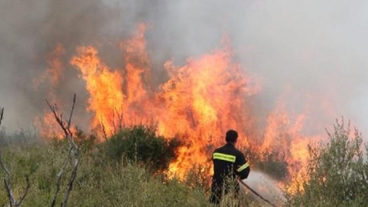 ΛΑΡΝΑΚΑ: Aποτσίγαρο προκάλεσε φωτιά σε κρατικό δάσος 