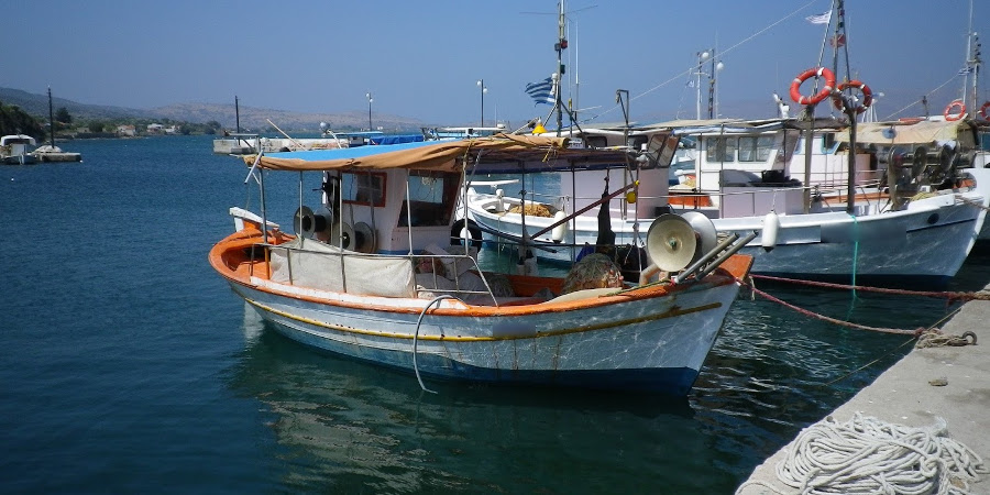 ΚΥΠΡΟΣ: Προς αφανισμό οι επαγγελματίες ψαράδες – «Οι τράτες ψαρεύουν μέχρι και γόπες» – Ζητούν αστυνόμευση για τους ερασιτέχνες