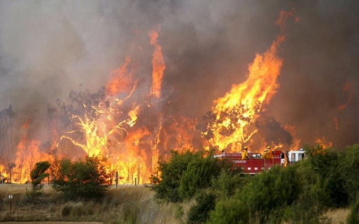 Τμ. Δασών: Κόκκινος Συναγερμός - Αυξημένος κίνδυνος για πυρκαγιές