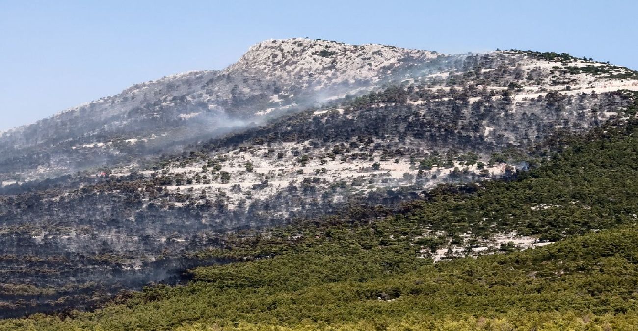 Meteo: Περισσότερα από 1.200.000 στρέμματα έχουν καεί από πυρκαγιές στην Ελλάδα φέτος