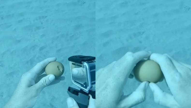 Η στιγμή που δύτης σπάει αυγό στο βυθό της θάλασσας - Δείτε βίντεο 