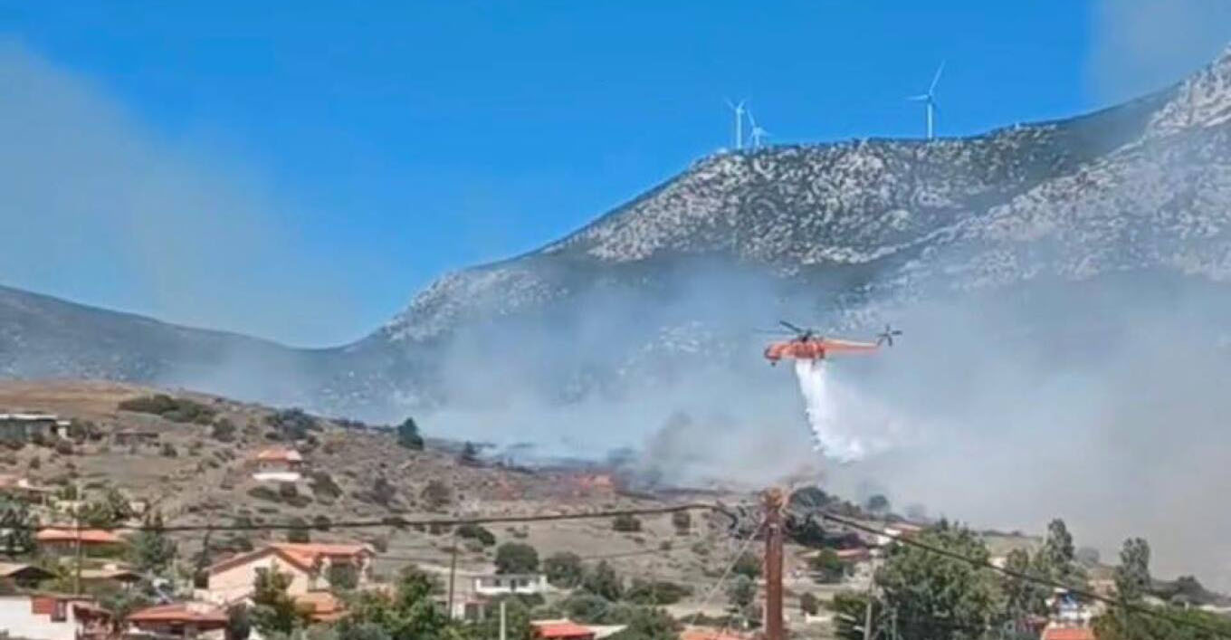 Φωτιά στην Βοιωτία - Μήνυμα από το 112 για εκκένωση της Αλυκής