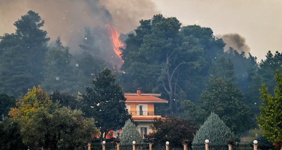 «Πύρινη κόλαση» στην Ηλεία – Μάχη σε τρία μέτωπα φωτιάς, κάηκαν σπίτια – Δείτε βίντεο και φωτογραφίες