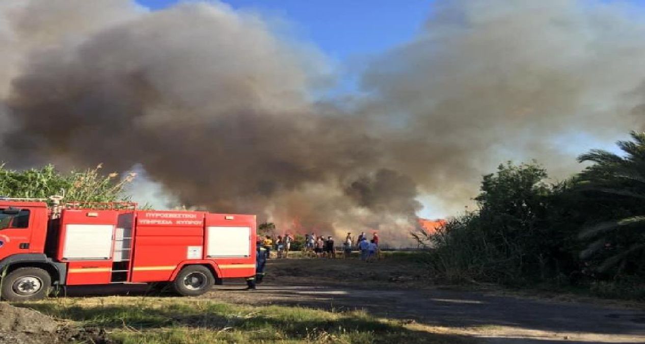Δύο δεκάρια με ακακίες και άγρια βλάστηση έκαψε πυρκαγιά στην αλυκή Λάρνακας